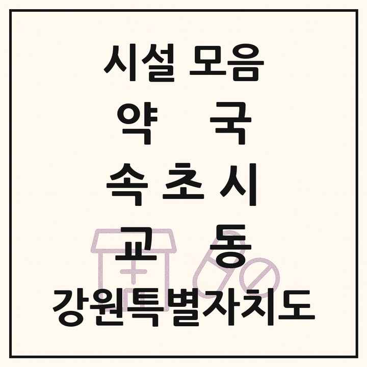 강원특별자치도 속초시 교동 약국 목록